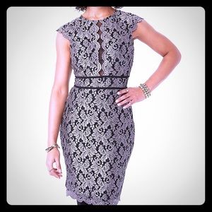 💖 NWT DRESSBARN SCALLOPED EDGE GLITTER LACE DRESS